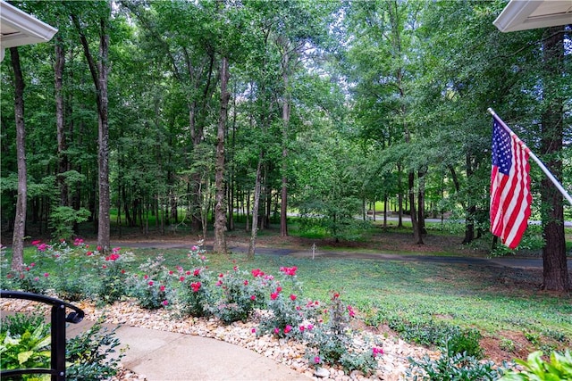 2252 8th St SW, Lanett, AL 36863 - photo 7