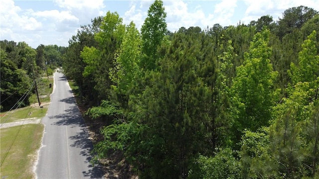 0 Lee Road 668th Al, AL, 36832 land for sale