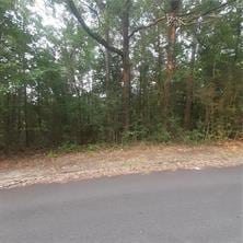 0 Bibb St, Tuskegee AL, 36083 land for sale