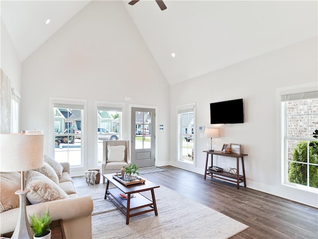 living room featuring high vaulted ceiling, wood finished floors, and a healthy amount of sunlight