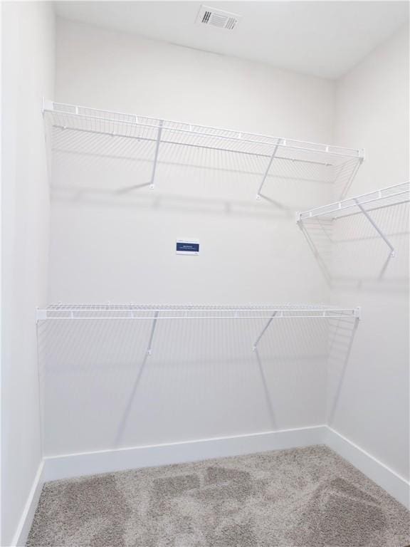 spacious closet featuring visible vents and carpet floors