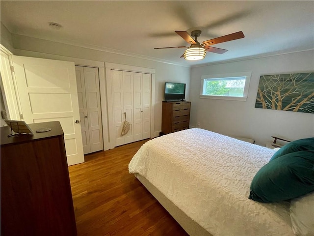 bedroom with multiple closets, crown molding, dark wood finished floors, and a ceiling fan