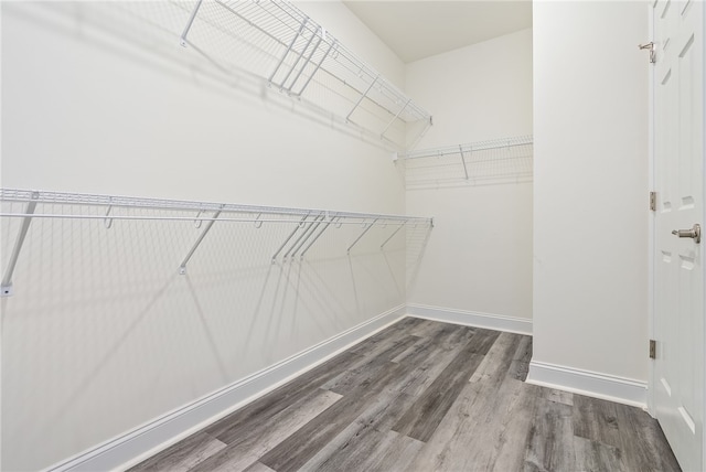 spacious closet featuring hardwood / wood-style floors