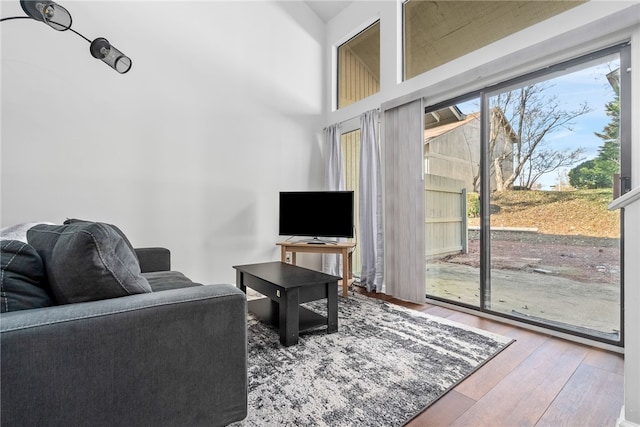 living room with hardwood / wood-style floors