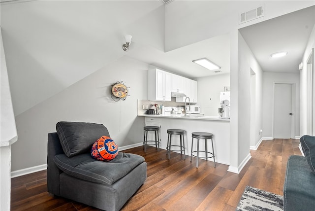 living area featuring dark hardwood / wood-style flooring