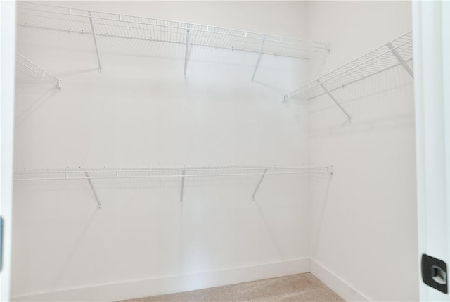 1013 Crossing Ct E, Valley, AL 36854 - spacious closet with carpet flooring