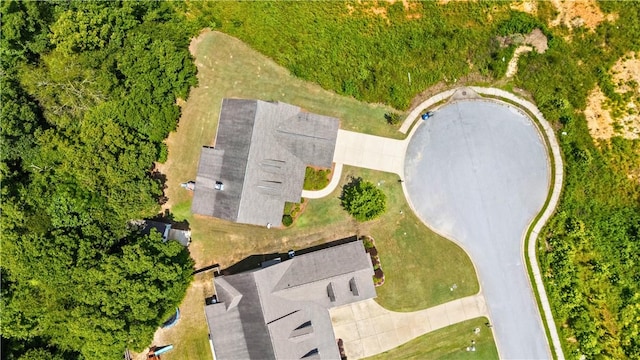 4112 Creekview Ct, Auburn, AL 36832 - aerial view