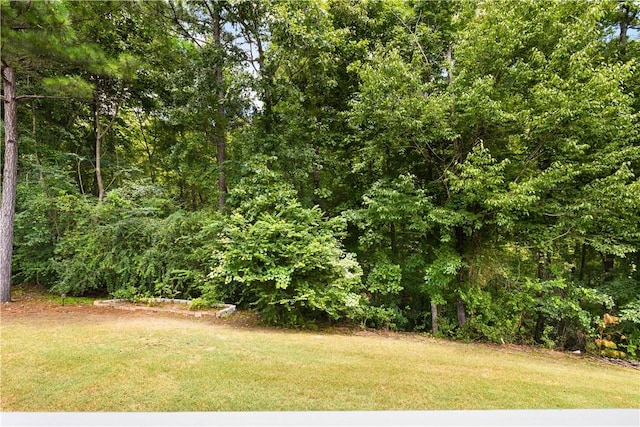 4112 Creekview Ct, Auburn, AL 36832 - photo 28