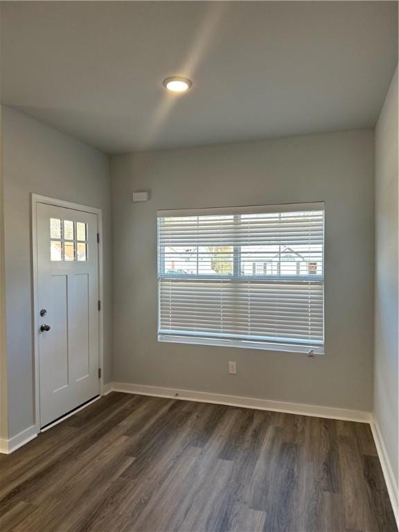 foyer featuring a healthy amount of sunlight and dark wood-type flooring
