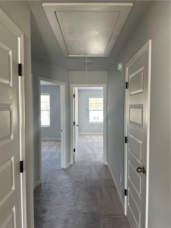 hall with dark colored carpet and a wealth of natural light