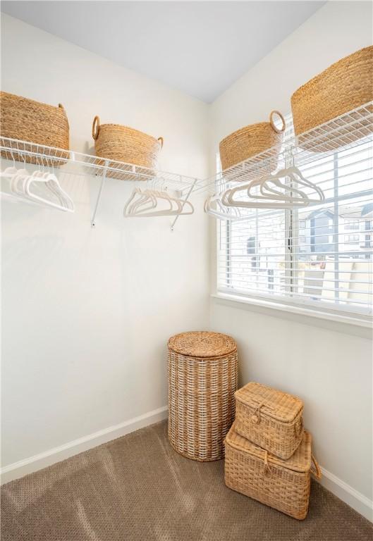 spacious closet featuring carpet flooring