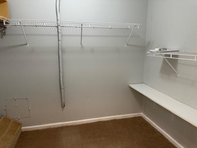 371 E Thach Ave Unit 4, Auburn, AL 36830 - walk in closet featuring dark carpet