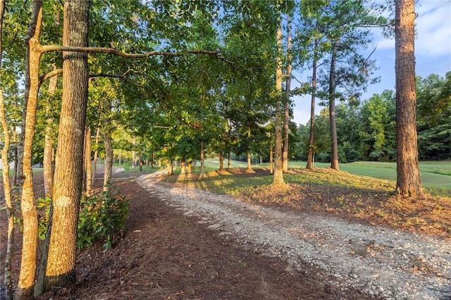 view of property's community