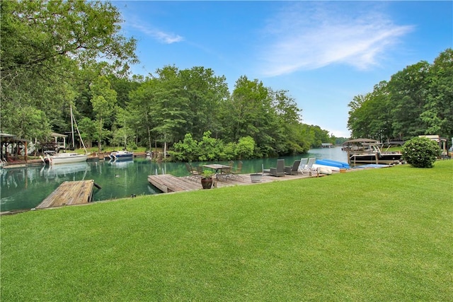 521 Beach Island Trce, Dadeville, AL 36852 - photo 8