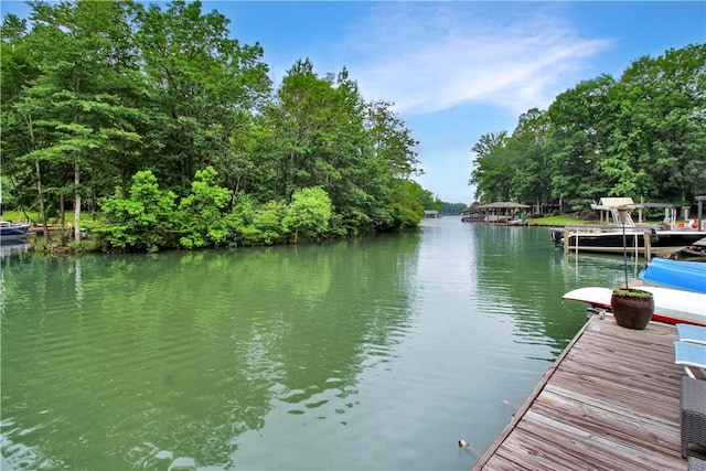 521 Beach Island Trce, Dadeville, AL 36852 - photo 1