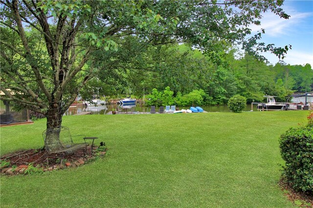 521 Beach Island Trce, Dadeville, AL 36852 - photo 9