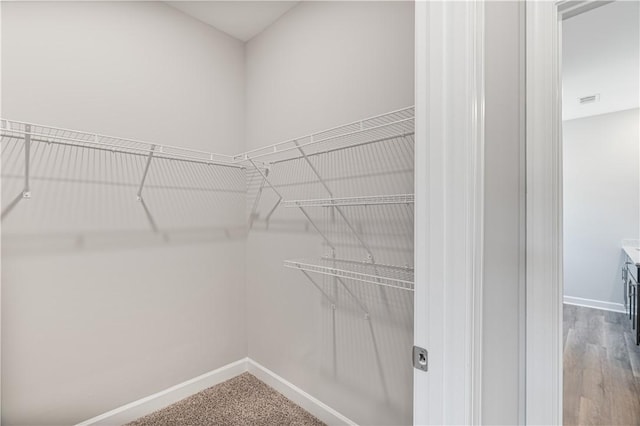 view of walk in closet