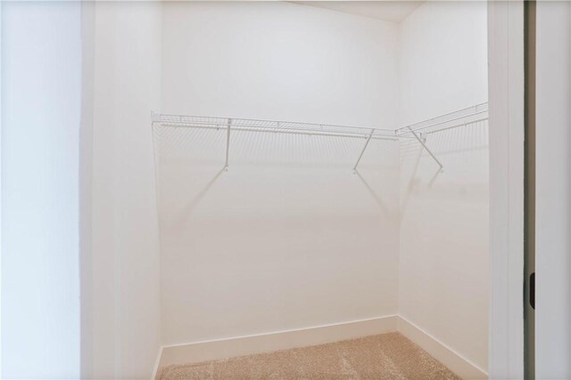 3228 Bradley Ln, Auburn, AL 36830 - spacious closet featuring carpet floors
