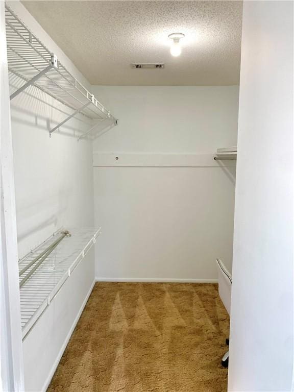 walk in closet featuring visible vents and carpet