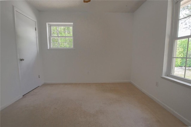 2797 Lee Road 148, Opelika, AL 36804 - photo 24