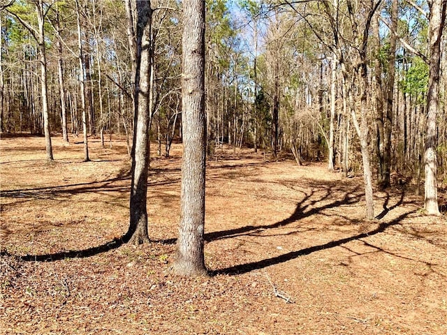 2797 Lee Road 148, Opelika, AL 36804 - photo 28