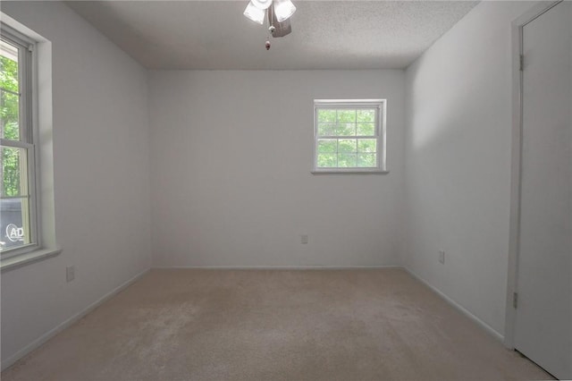 2797 Lee Road 148, Opelika, AL 36804 - photo 26