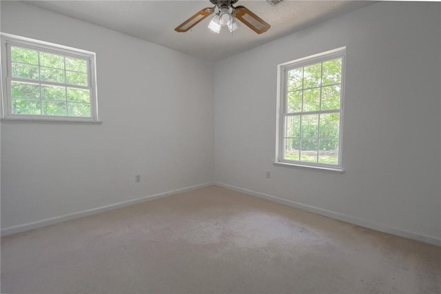2797 Lee Road 148, Opelika, AL 36804 - photo 23