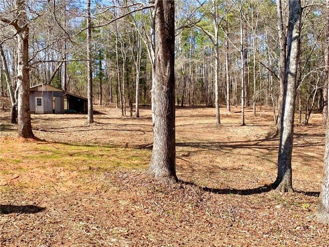 2797 Lee Road 148, Opelika, AL 36804 - photo 29