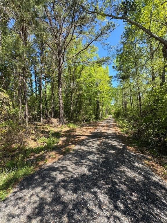 1715 Lee Road 112, Opelika, AL 36804 - photo 2