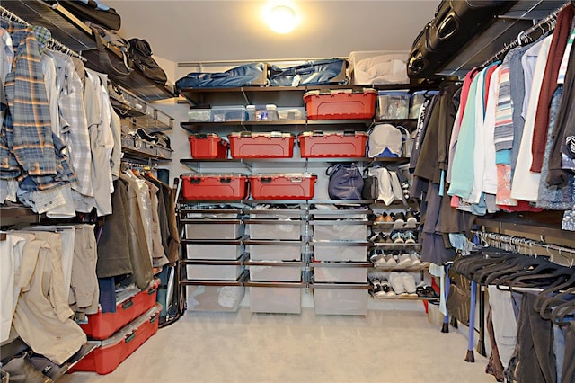 walk in closet featuring carpet flooring