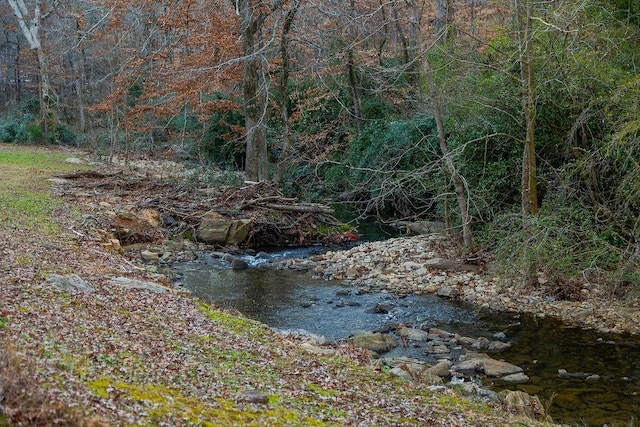 view of local wilderness