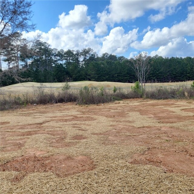 705 Riverside Ests, Lanett, AL 36863 - view of yard
