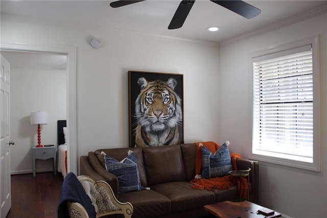 living area featuring ornamental molding, a ceiling fan, radiator, and wood finished floors