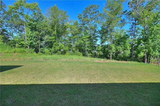 1637 James Burt Pkwy, Auburn, AL 36830 - view of grassy yard