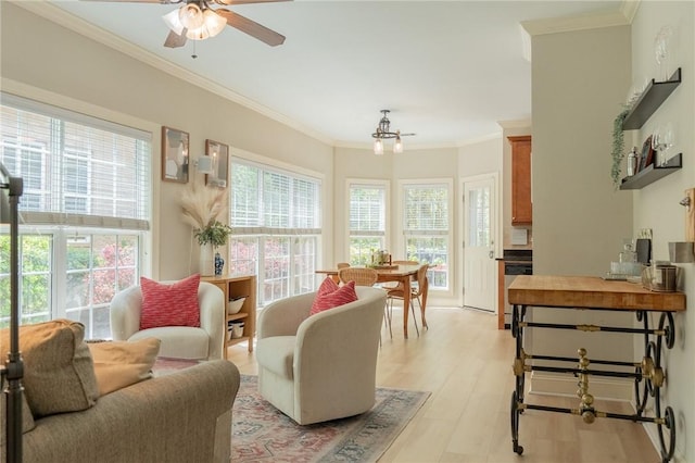 1714 Vfw Rd, Auburn, AL 36830 - living area with a ceiling fan, ornamental molding, and light wood-type flooring