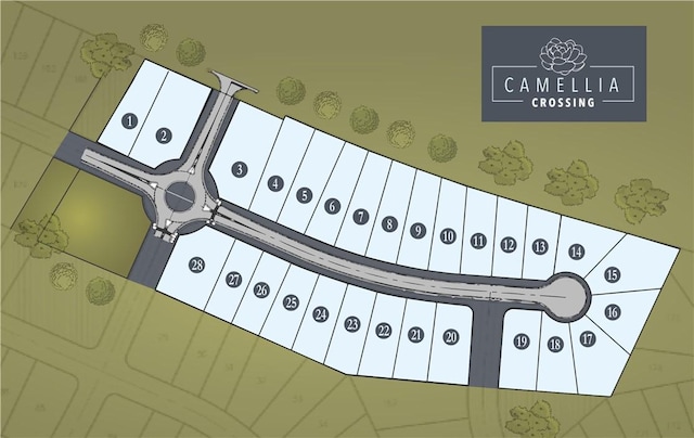 map showing property parcels