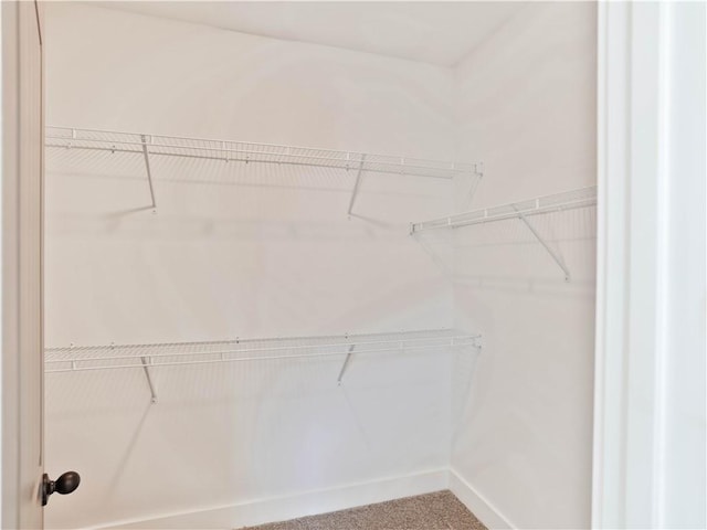 8 Crossing Ct E, Valley, AL 36854 - walk in closet with carpet