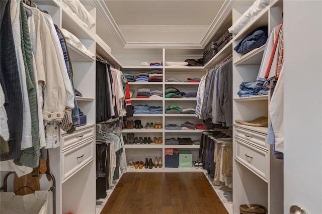 spacious closet featuring dark hardwood / wood-style flooring