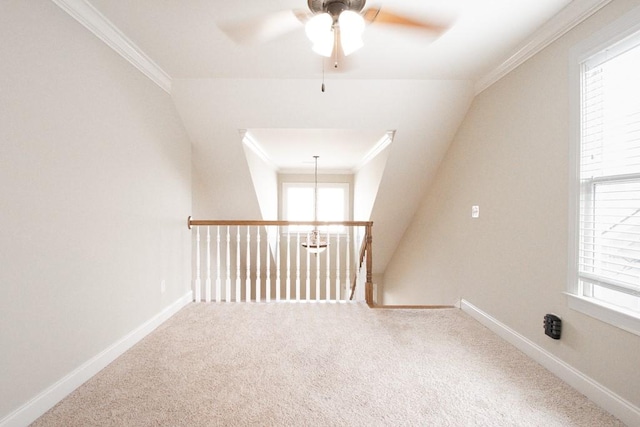 spare room featuring crown molding, ceiling fan, and carpet