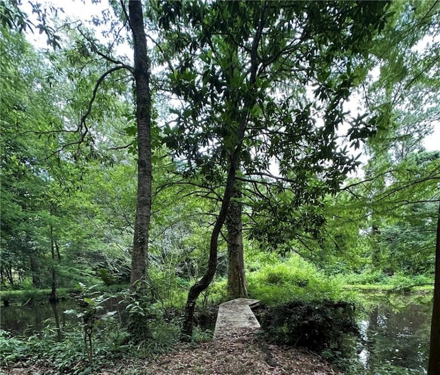 1030 S Gay St, Auburn, AL 36830 - view of wooded area