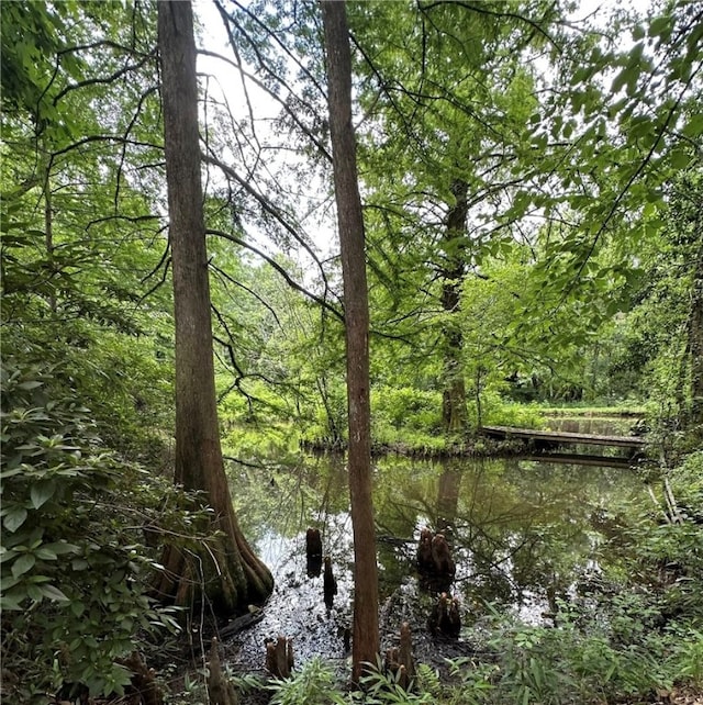1030 S Gay St, Auburn, AL 36830 - water view with a forest