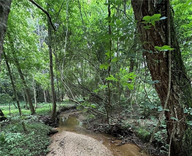 1030 S Gay St, Auburn, AL 36830 - view of wooded area