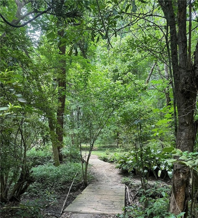 1030 S Gay St, Auburn, AL 36830 - view of community featuring a view of trees
