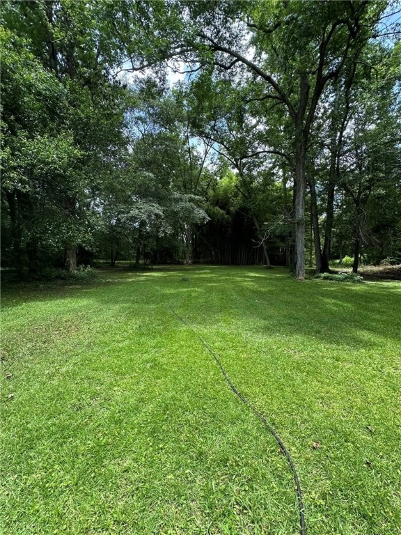 1030 S Gay St, Auburn, AL 36830 - view of grassy yard