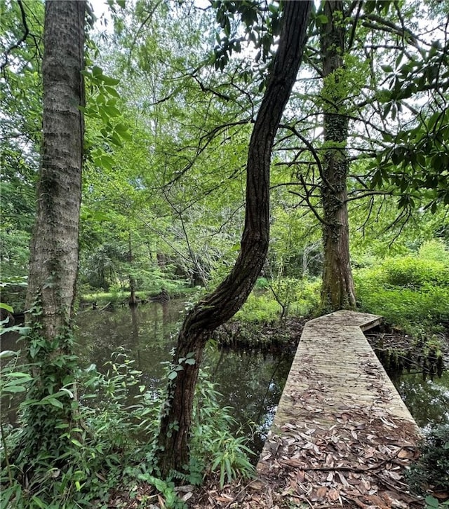 1030 S Gay St, Auburn, AL 36830 - dock area with a forest view