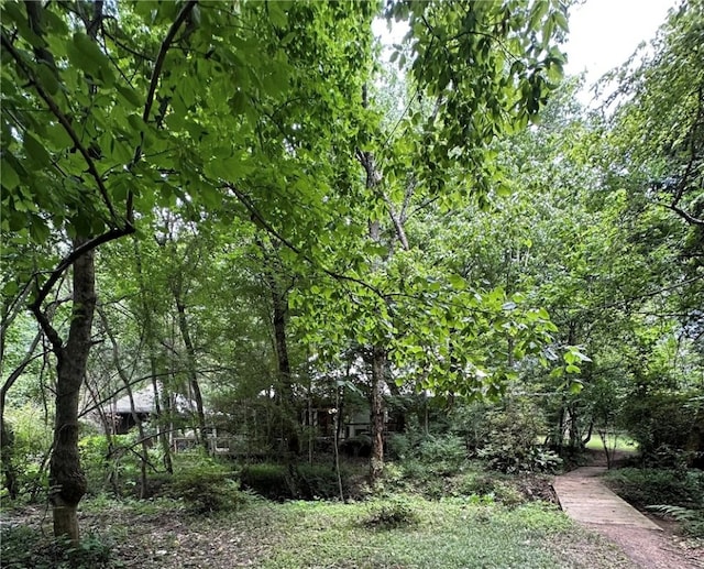 1030 S Gay St, Auburn, AL 36830 - view of yard with a forest view
