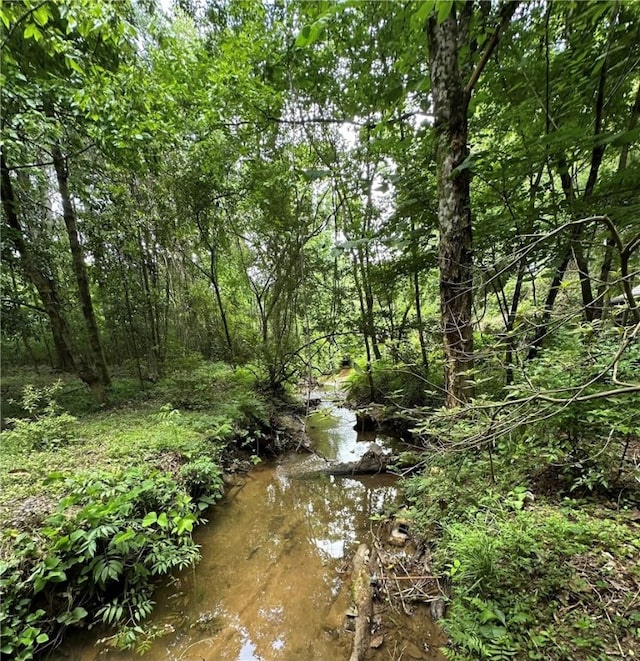 1030 S Gay St, Auburn, AL 36830 - view of local wilderness