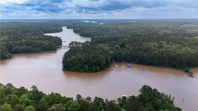 1249 County Road 446, Five Points, AL 36855 - aerial view of a heavily wooded area and a nearby body of water
