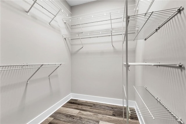 1661 S Camden Ct, Auburn, AL 36830 - spacious closet with wood finished floors