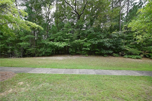 2562 Blackwood Ct, Auburn, AL 36830 - photo 6